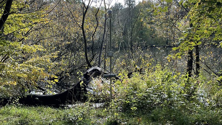 APOLLO12 Knickbaum Wetterstation am Wasser