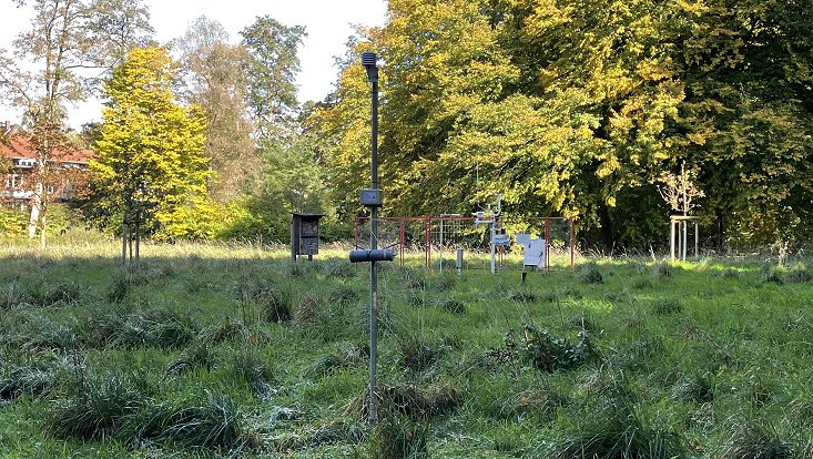 APOLLO90 DWD/Wiese Wetterstation auf einer Wiese